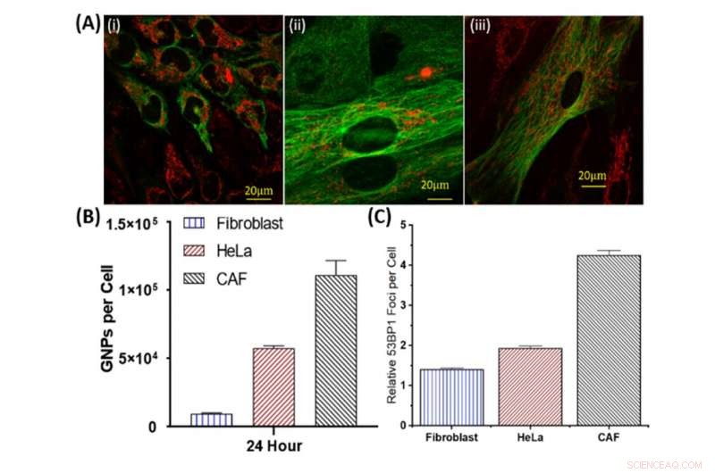 Gold Nanoparticles Enhance Tumor Radiation Therapy, Minimizing Damage to Healthy Tissue