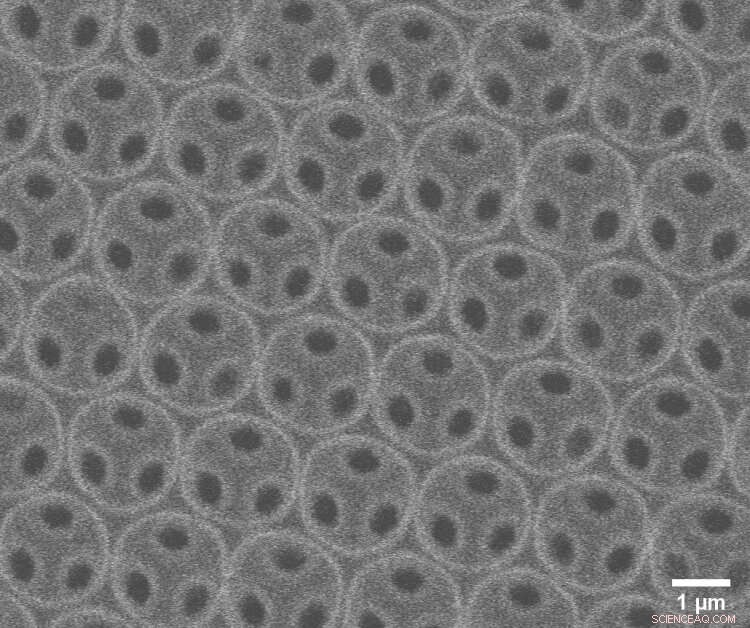 Fast-Acting Nanorobots Promise Efficient Soil, Water Cleanup and Targeted Drug Delivery