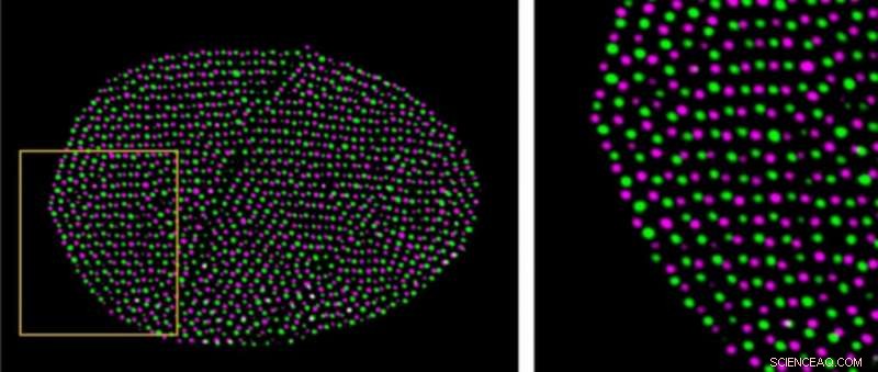 3D-Grown Material Accelerates Smart Building and Robotics Innovation