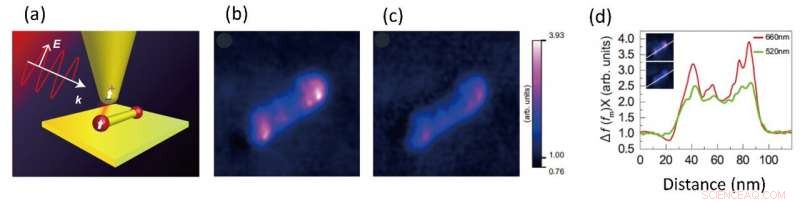 Optical Force Microscopy Reveals Atomic-Scale Structures