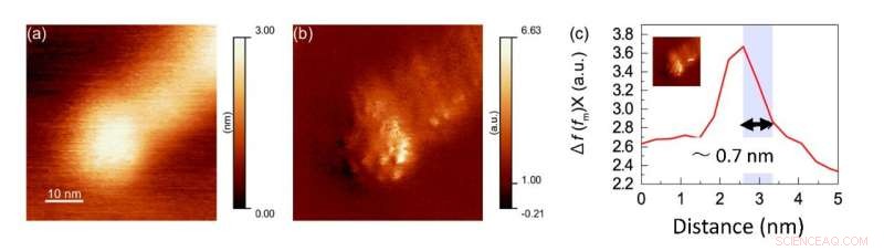 Optical Force Microscopy Reveals Atomic-Scale Structures