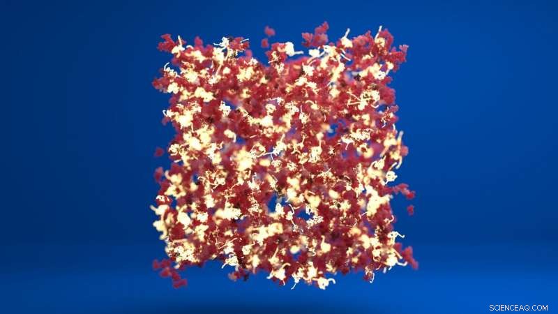 Innovative Protein Hydrogel Techniques for Next‑Gen Biomaterials