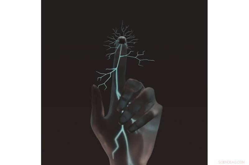 Reclaiming Sensation: Cutting-Edge Nerve Tech Restores Touch After Injury