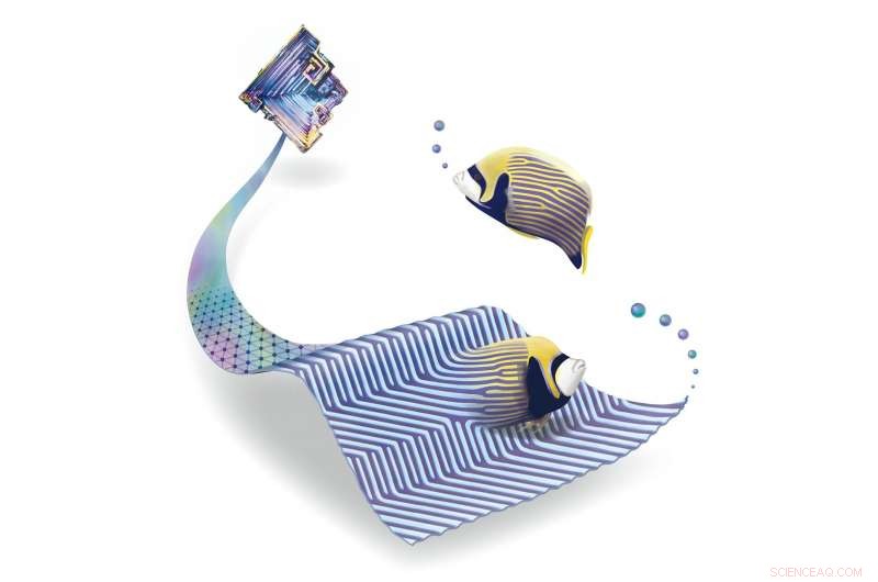 Scientists Confirm Turing Patterns at the Nanoscale in Bismuth Monolayers