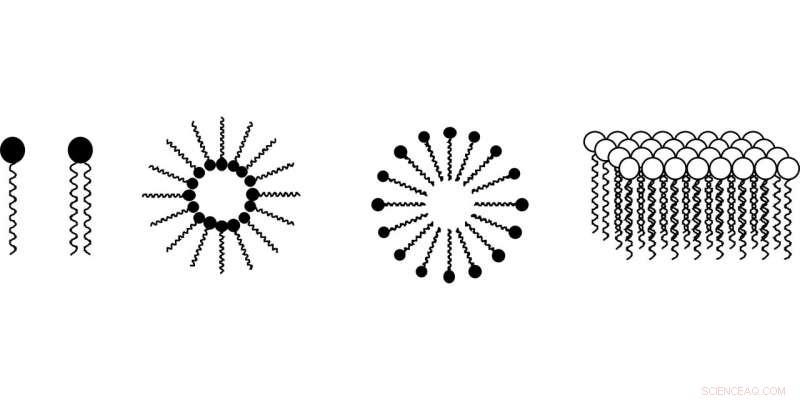 Research Reveals How Liposomes Accumulate in Tumors