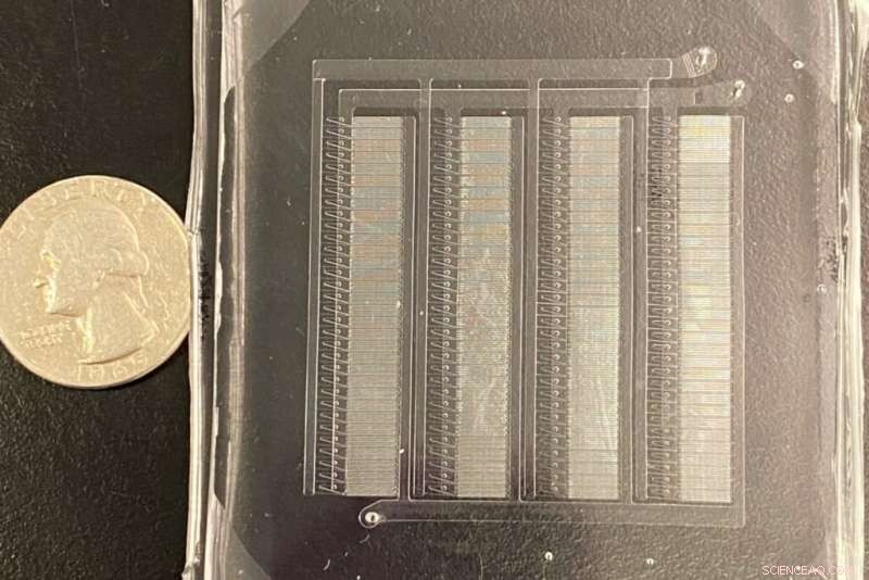 Ultra-Fast Microfluidic Platform Accelerates mRNA Nanoparticle Production 100×