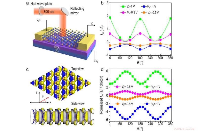 Ultra‑Fast, Polarization‑Sensitive Photodetectors Using 2D Semiconductors