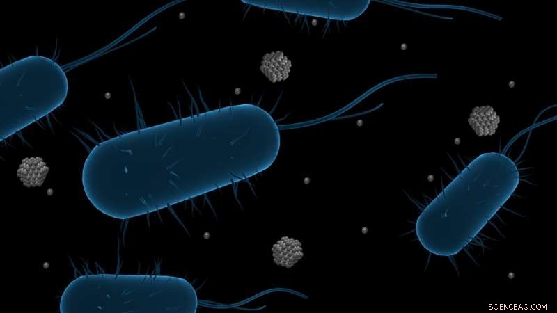 Silver Nanoparticles: A Promising Antimicrobial Solution