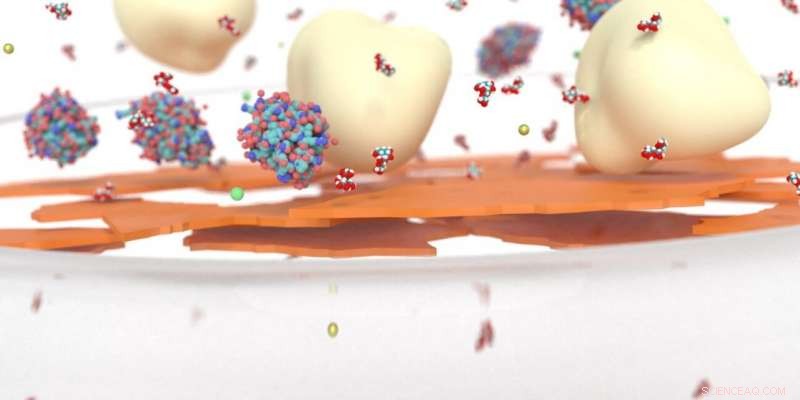 Engineering Lactose-Free Milk with Graphene Oxide Nanofiltration Membranes