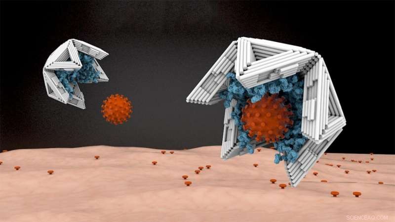 DNA-Based Nano-Shells Trap and Neutralize Viruses—A Novel Antiviral Approach