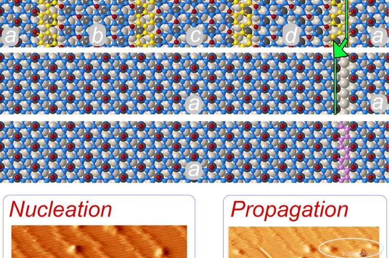 Monitoring Crystal Dislocation Evolution in Epitaxial Silicene on ZrB2