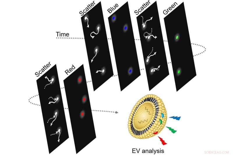 Precise Tracking of Single Nanoparticle Dynamics via Fluorescence Imaging