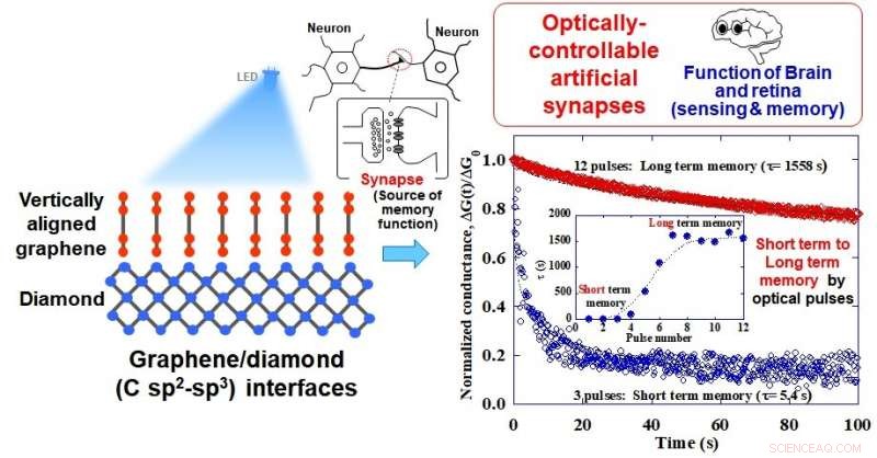 Graphene‑Diamond Junctions: Mimicking Human Brain for Ultra‑Fast Computing