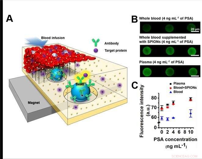 Revolutionary Magnet‑Based Plasma Separation Technique Achieves Hemolysis‑Free, High‑Efficiency Results