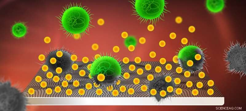 Graphene Coating Delivers Antibacterial Drugs to Prevent Infections on Medical Implants