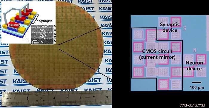KAIST Engineers Develop Scalable Neuromorphic Chips with Single‑Transistor Neurons and Synapses