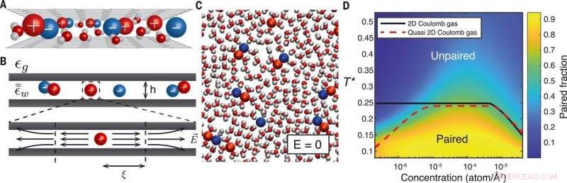 2D Nanofluidic Channels as Memory-Effect Transistors: Theoretical Predictions and Simulations