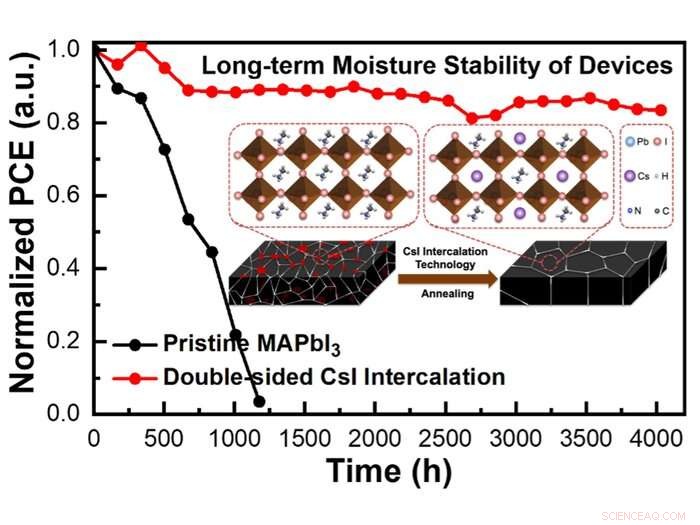 Universal Intercalation Technique Boosts Perovskite Solar Cell Stability and Efficiency