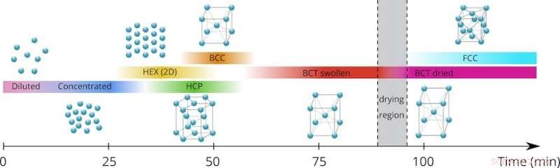 Real‑Time X‑Ray Study Reveals Self‑Organization of Lead Sulphide Nanoparticles into Ordered Superlattices
