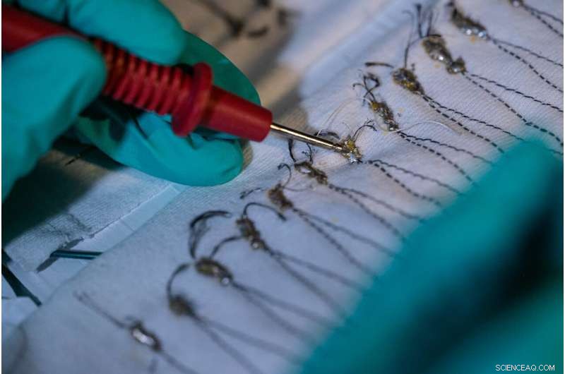 Carbon Nanotube Fabrics Convert Solar Heat into Electricity