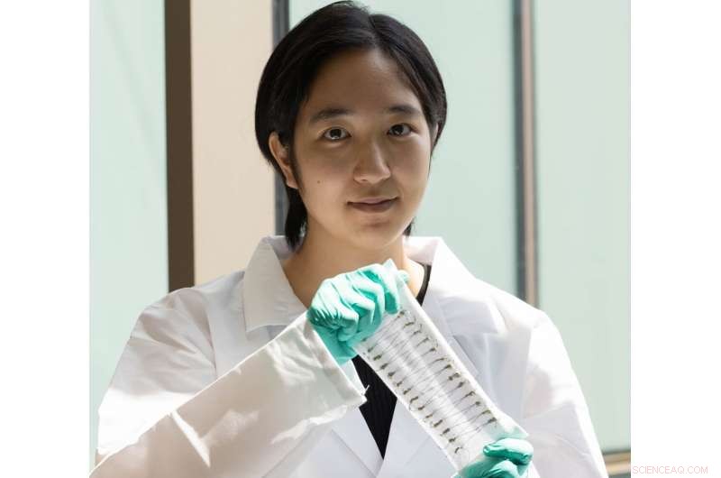 Carbon Nanotube Fabrics Convert Solar Heat into Electricity