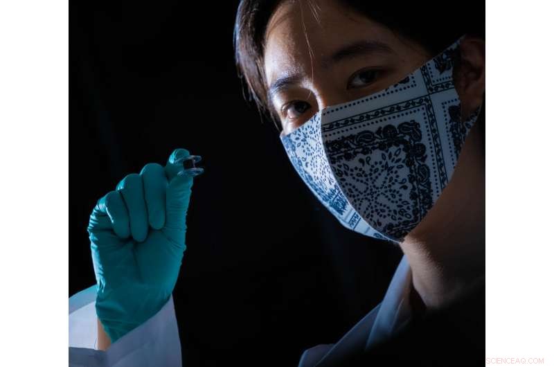 Carbon Nanotube Fabrics Convert Solar Heat into Electricity