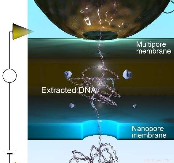 Rapid In Situ DNA Extraction & Detection with 3D-Integrated Nanopores