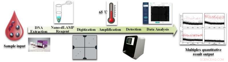 Chip‑Based Digital PCR Platform Enables Rapid, Multiplexed Detection for Early Myeloproliferative Neoplasm Diagnosis