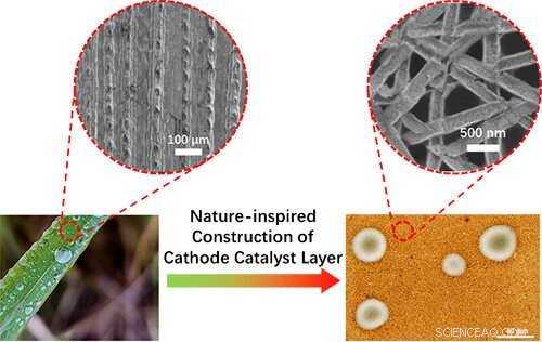 Advanced Biomimetic Nanotrough Electrodes Boost Durability in Proton Exchange Membrane Fuel Cells