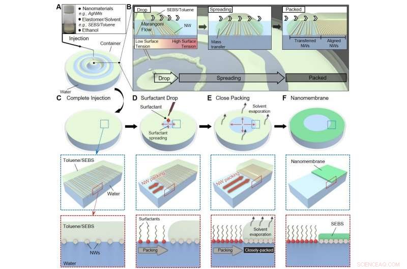 Ultra‑Conductive, Elastic Nanomembranes for Advanced Skin Electronics