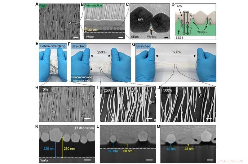 Ultra‑Conductive, Elastic Nanomembranes for Advanced Skin Electronics