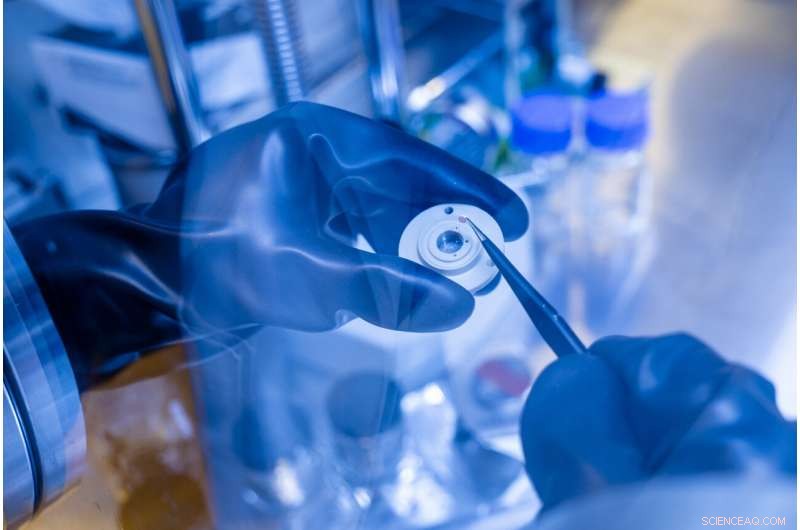 Janus Graphene from Chalmers Unlocks High-Capacity, Sustainable Sodium-Ion Batteries