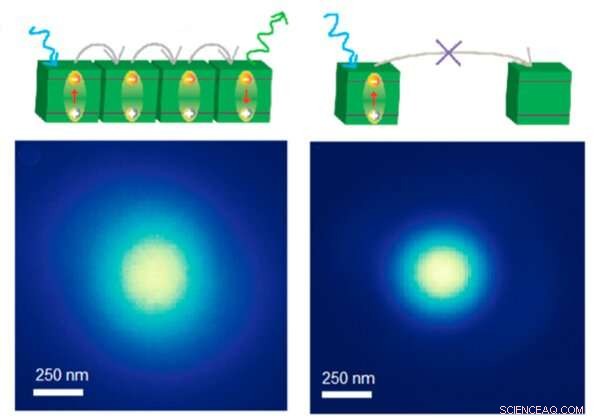 Direct Imaging Reveals Record 200 nm Exciton Diffusion Length in Perovskite Nanocrystals