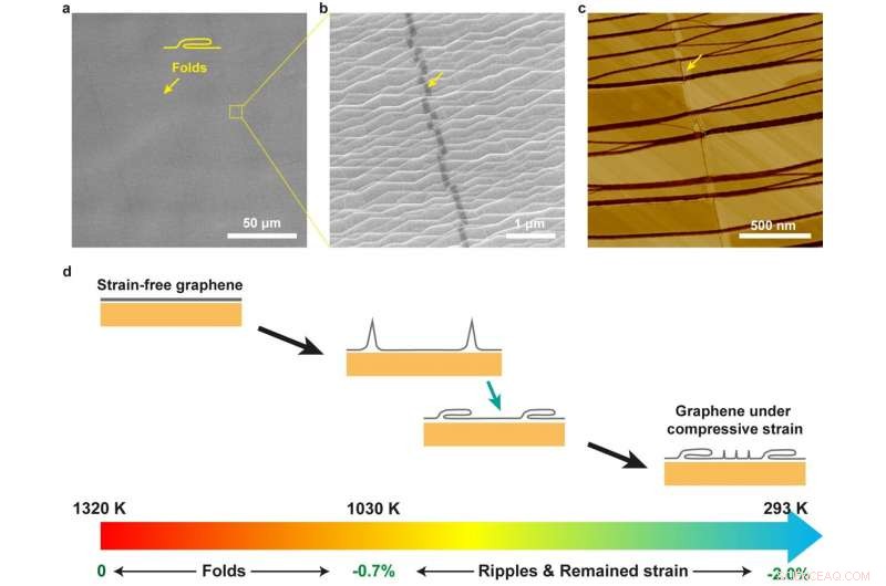 Engineering the Finest Graphene: A Breakthrough in Single-Crystal Film Production