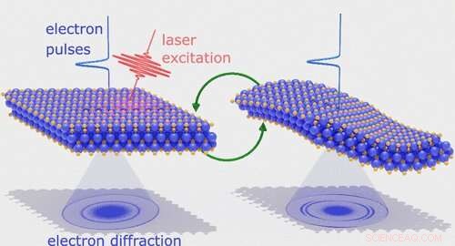 Light-Driven Shape Transformation in MXenes: Ultrafast Dynamics