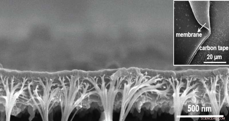 Revolutionizing Ion Separation: KAUST’s Advanced Polymer Membrane