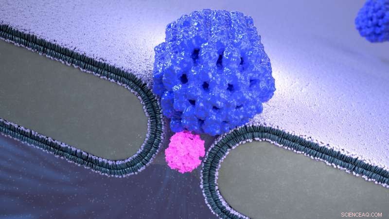 Revolutionary Molecular Trap Enables Detailed Study of Individual Proteins
