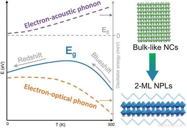 Unusual Bandgap Renormalization in 2D Lead‑Halide Perovskite Nanoplatelets: Temperature‑Dependent Blueshift–Redshift Dynamics