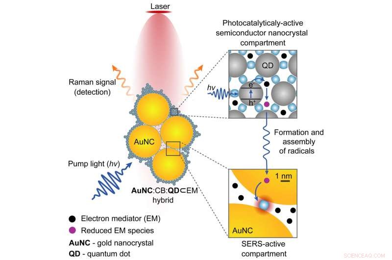Cambridge Breakthrough: Molecular-Glue Nanocamera Enables Real-Time Chemical Reaction Tracking