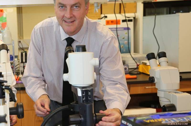 Breakthrough 7-Day Nanoparticle Disinfectant Could Combat COVID‑19 and Future Pandemics