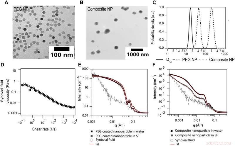 Accelerated Nanoparticle Diffusion in Synovial Fluid and Hyaluronic Acid: A Comprehensive Study