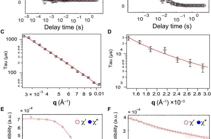 Accelerated Nanoparticle Diffusion in Synovial Fluid and Hyaluronic Acid: A Comprehensive Study
