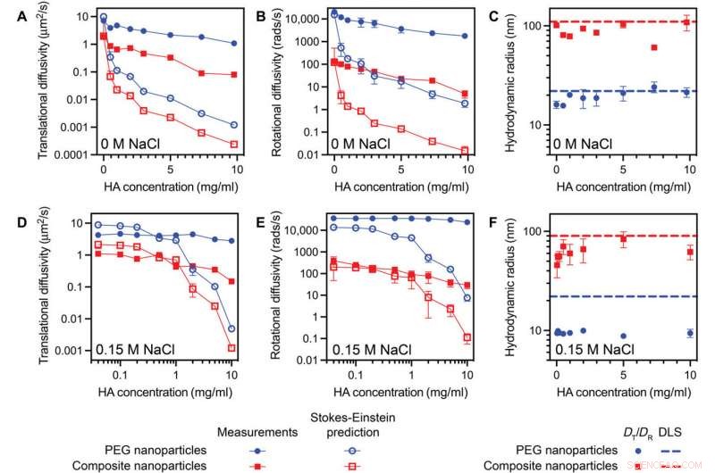 Accelerated Nanoparticle Diffusion in Synovial Fluid and Hyaluronic Acid: A Comprehensive Study