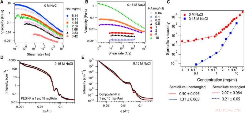 Accelerated Nanoparticle Diffusion in Synovial Fluid and Hyaluronic Acid: A Comprehensive Study