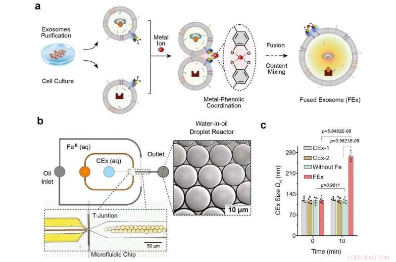 Scientists Pioneer Artificial Organelle Creation to Mimic Cellular Functions