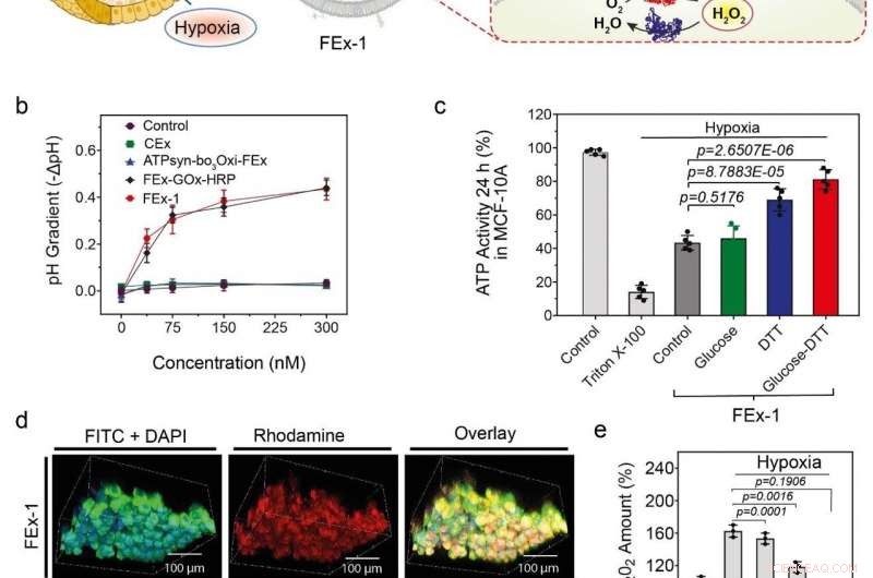 Scientists Pioneer Artificial Organelle Creation to Mimic Cellular Functions