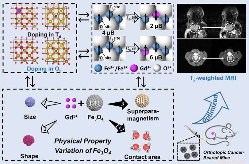 Gadolinium‑Doped Nanoclusters Enhance MRI Detection of Early Orthotopic Tumors
