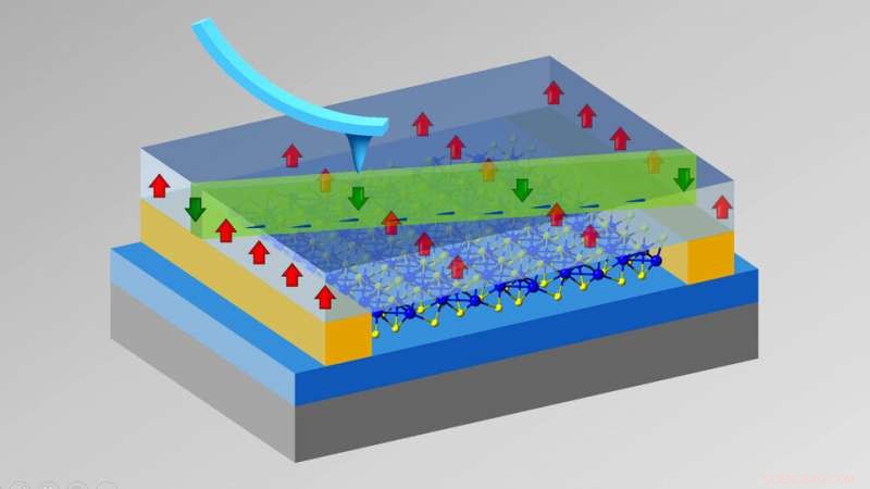 Innovative Technique Uncovers Key Property in Nanoscopic Material