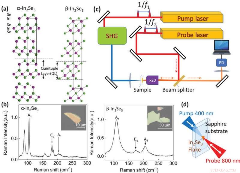 Nanoscale Ultrasound Reveals Fundamental Force Dynamics