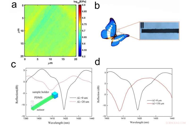 Micro‑Printed Fiber‑Tip Polymer Probe Enables Ultra‑Sensitive Nanoforce Measurements